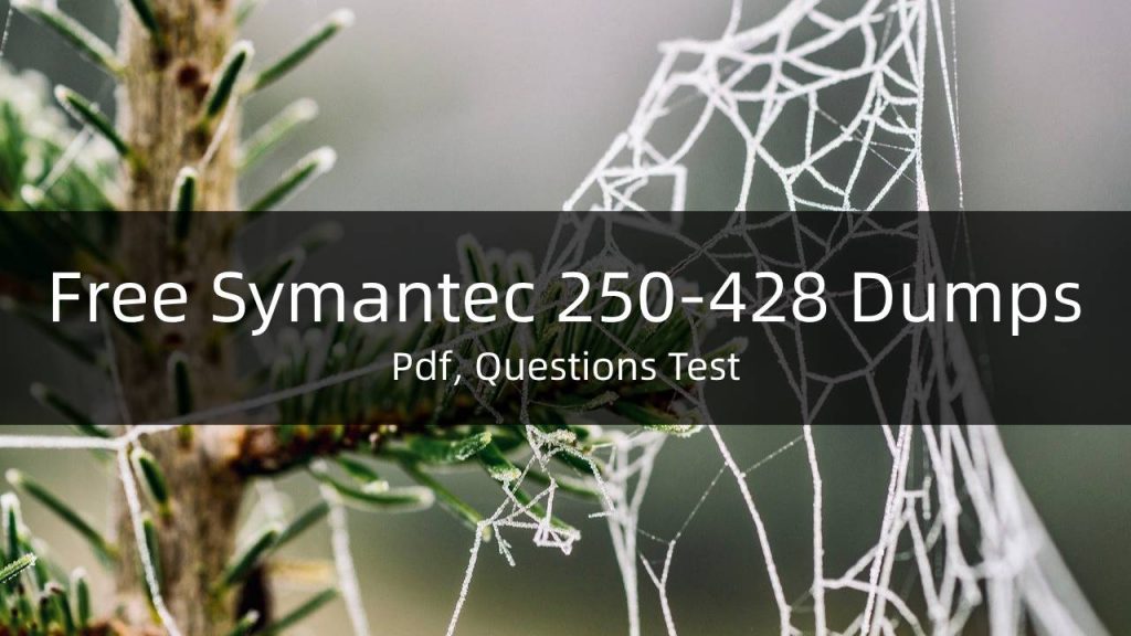 Free Symantec 250-428 Dumps 